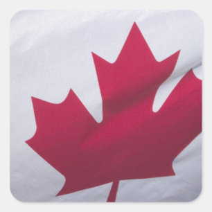 Canadian Flag. Square Sticker
