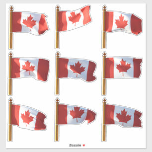 Canadian Flags Flying
