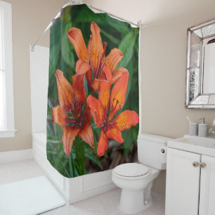 Canadian Flower Beauty, Orange Daylily Shower Curtain