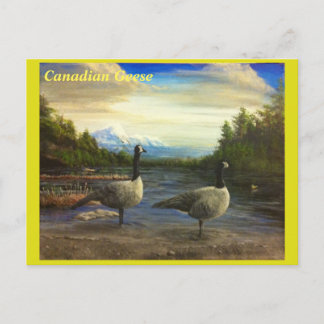 Canadian Geese at Beaver Lake. - postcard