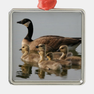 Canadian Geese Bird Lovers Gifts Metal Tree Decoration