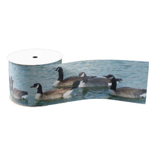 Canadian Geese Canada Goose Craft Ribbon Grosgrain Ribbon