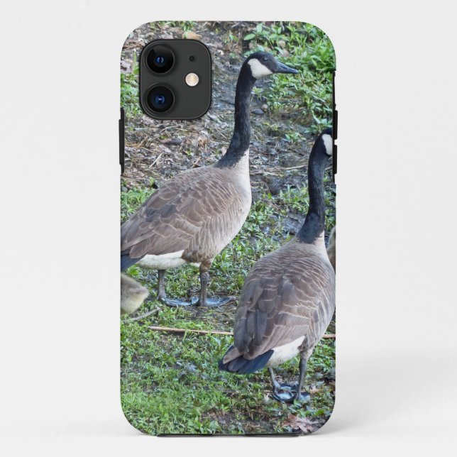 Canadian Geese Family Case-Mate iPhone Case (Back)
