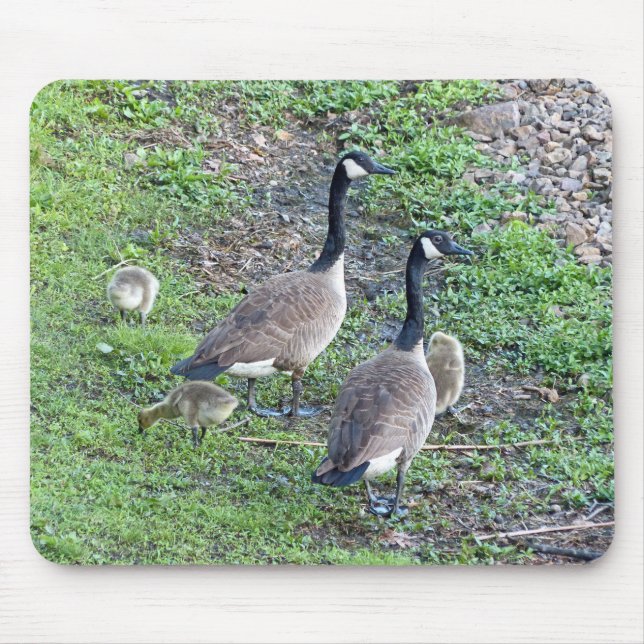 Canadian Geese Family Mouse Pad (Front)