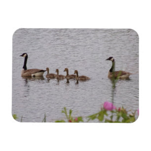 Canadian Geese Family n Flowers Flexible Magnet