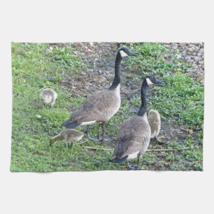 Canadian Geese Family Tea Towel