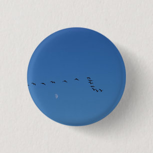 Canadian geese in flight     3 cm round badge