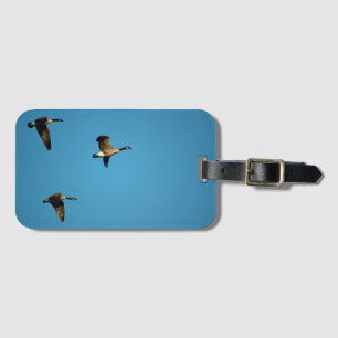 Canadian geese in flight luggage tag