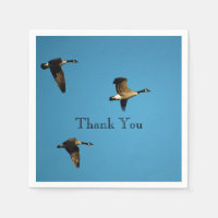 Canadian geese in flight