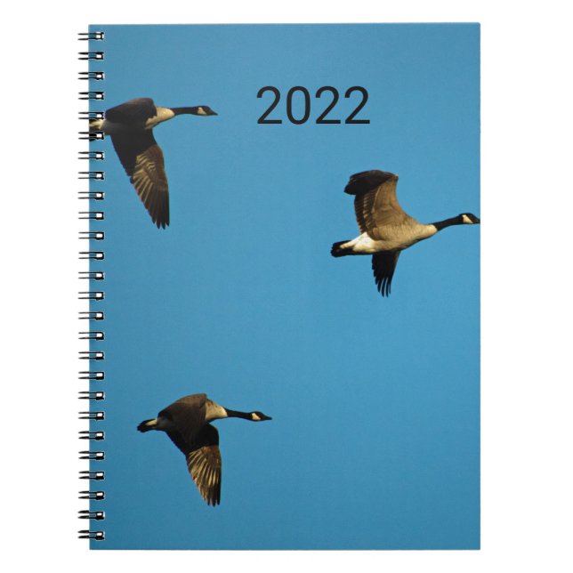 Canadian geese in flight  notebook (Front)
