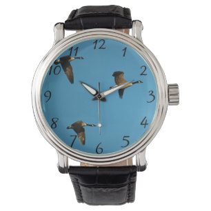 Canadian geese in flight watch