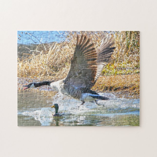 Canadian Geese. Jigsaw Puzzle (Horizontal)