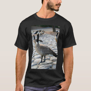Canadian Geese Near The Lake T-Shirt