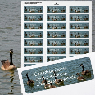 Canadian Geese on Lake Photographic Return address