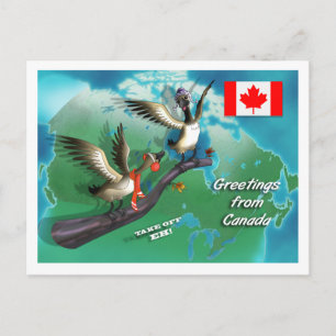 Canadian Geese Postcard
