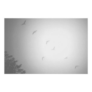 Canadian Geese Poster
