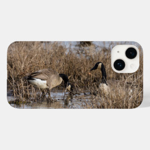 Canadian Geese Snack Time iPhone Case