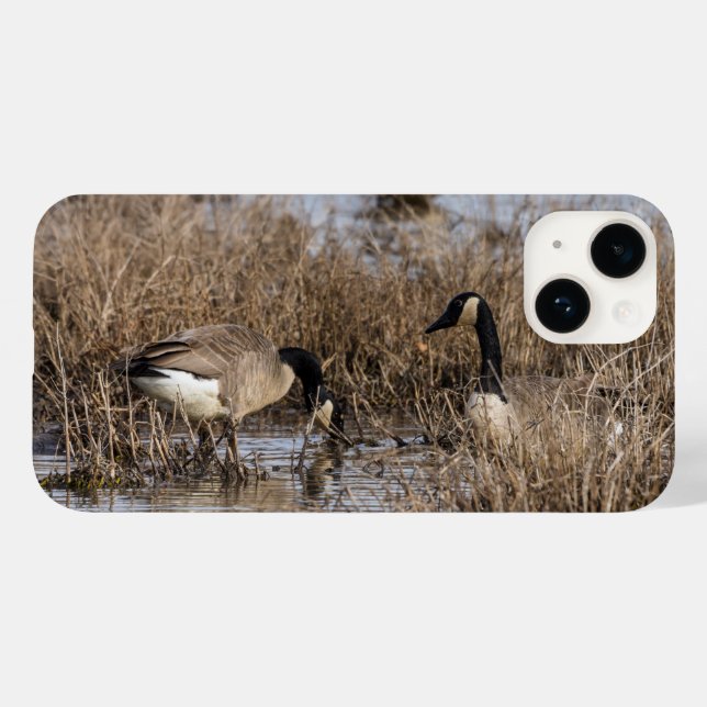 Canadian Geese Snack Time iPhone Case (Back (Horizontal))