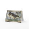 Canadian Geese Thank You Card