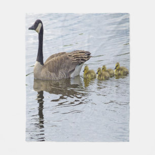 Canadian Goose And Goslings Fleece Blanket