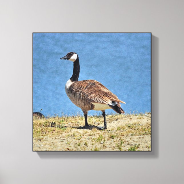 Canadian Goose Canva Wrap Print (Front)