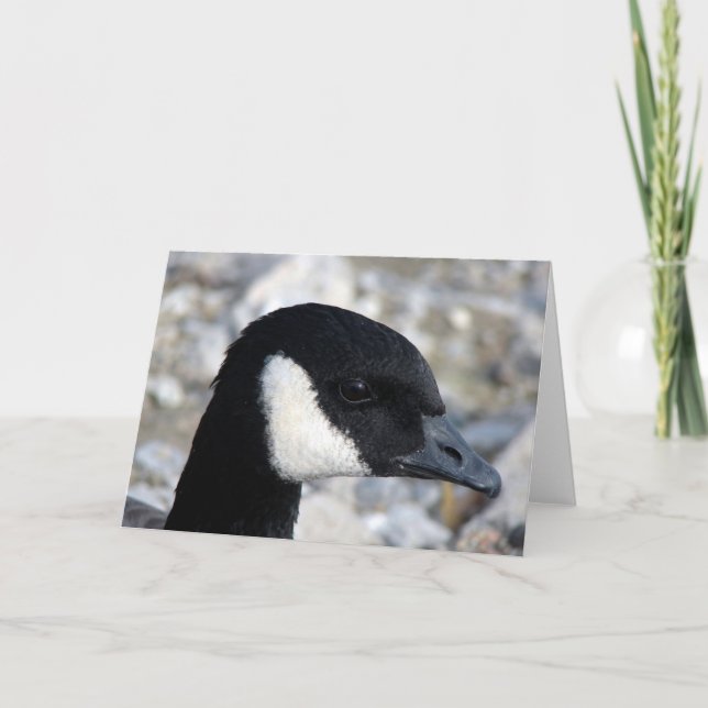 Canadian Goose Card (Front)