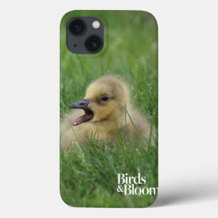 Canadian Goose Chick iPhone 13 Case