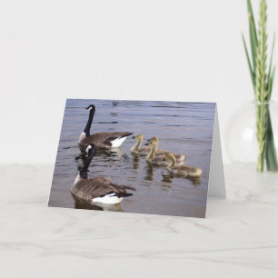 Canadian Goose Family Card