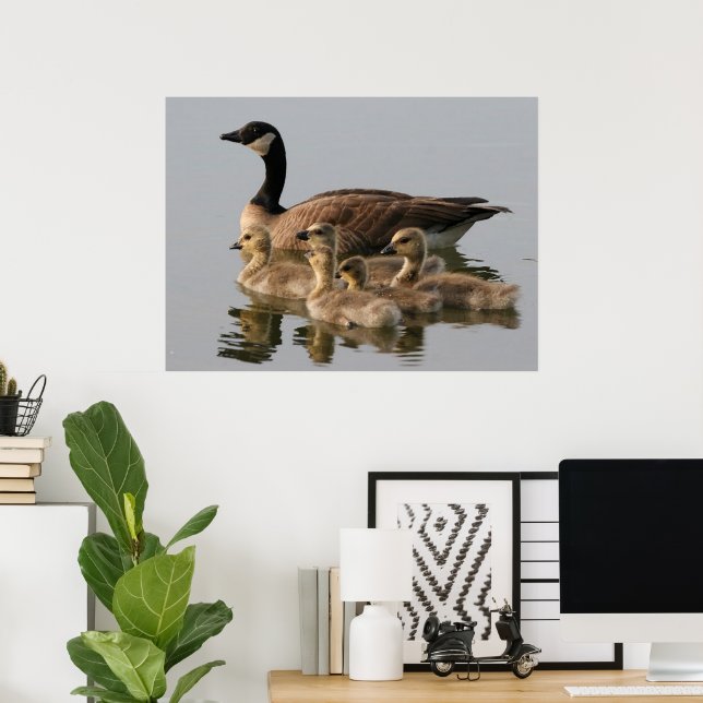Canadian Goose Geese Poster (Home Office)