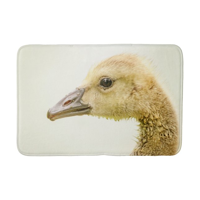 Canadian Goose (Gosling) Bath Mat (Front)