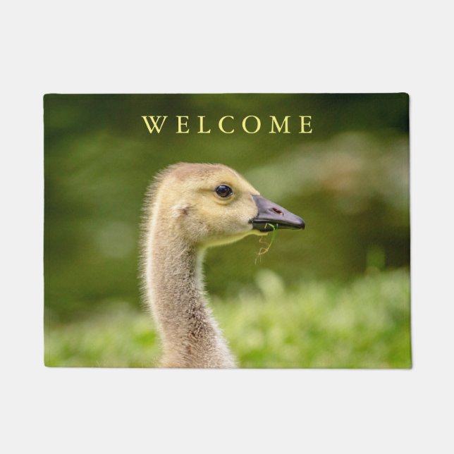 Canadian Goose (Gosling) Doormat (Front)