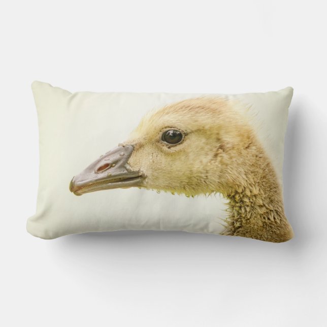 Canadian Goose (Gosling) Lumbar Cushion (Front)
