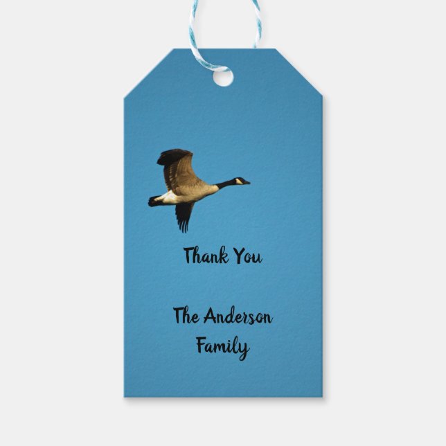 Canadian goose in flight gift tags (Front)