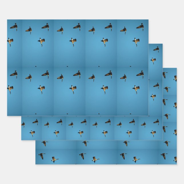 Canadian goose in flight  wrapping paper sheet (Set)