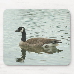 Canadian goose mouse pad