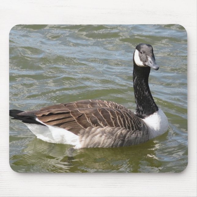 Canadian Goose Mouse Pad (Front)