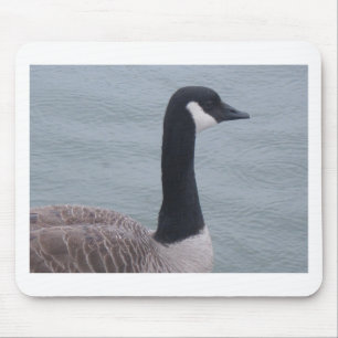 Canadian Goose on a Lake Mouse Pad