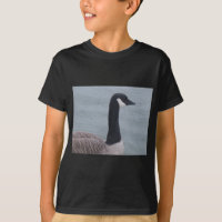 Canadian Goose on a Lake