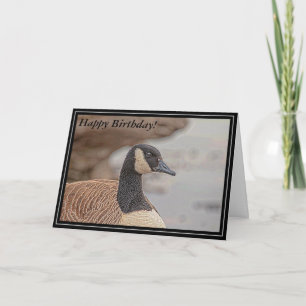 Canadian Goose Portrait Card