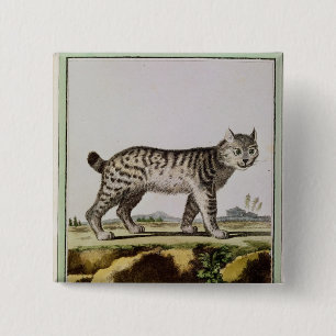 Canadian Lynx 15 Cm Square Badge
