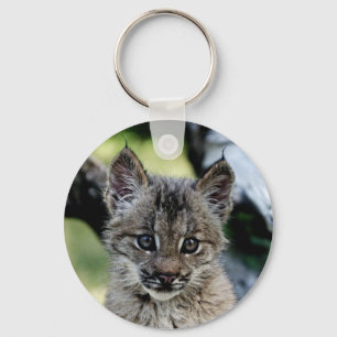 Canadian Lynx Kitten Key Ring