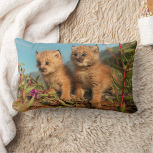 Canadian Lynx Kittens, Alaska Lumbar Cushion