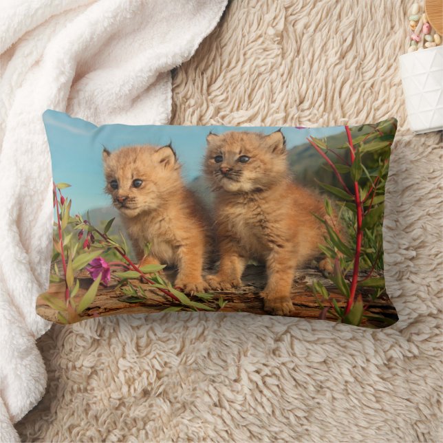 Canadian Lynx Kittens, Alaska Lumbar Cushion (Blanket)