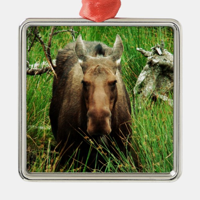 Canadian Moose Metal Tree Decoration (Front)