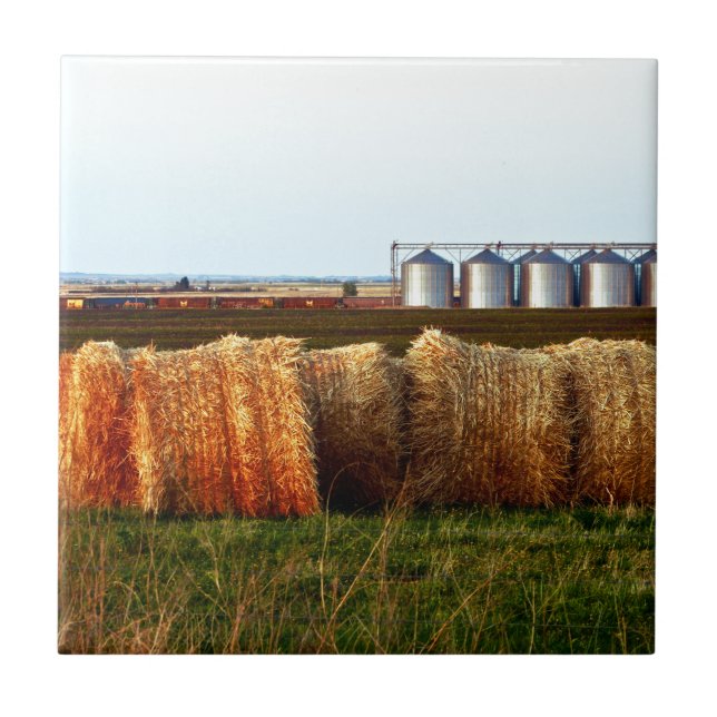 Canadian Prairies Tile (Front)