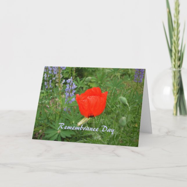 Canadian Remembrance Day- November+11th Poppy Card (Front)