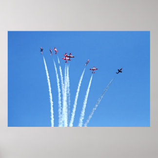 Canadian Snowbirds Planes Poster