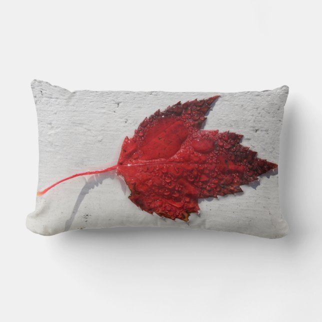 Canadian Themed Throw Pillow (Front)