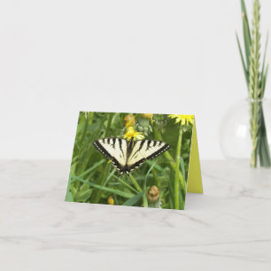 Canadian Tiger Swallowtail Butterfly Notecard