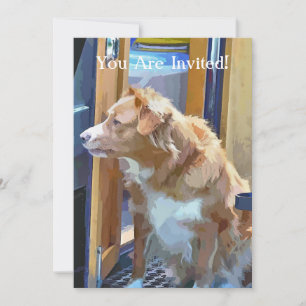 CANAL BOATS INVITATION